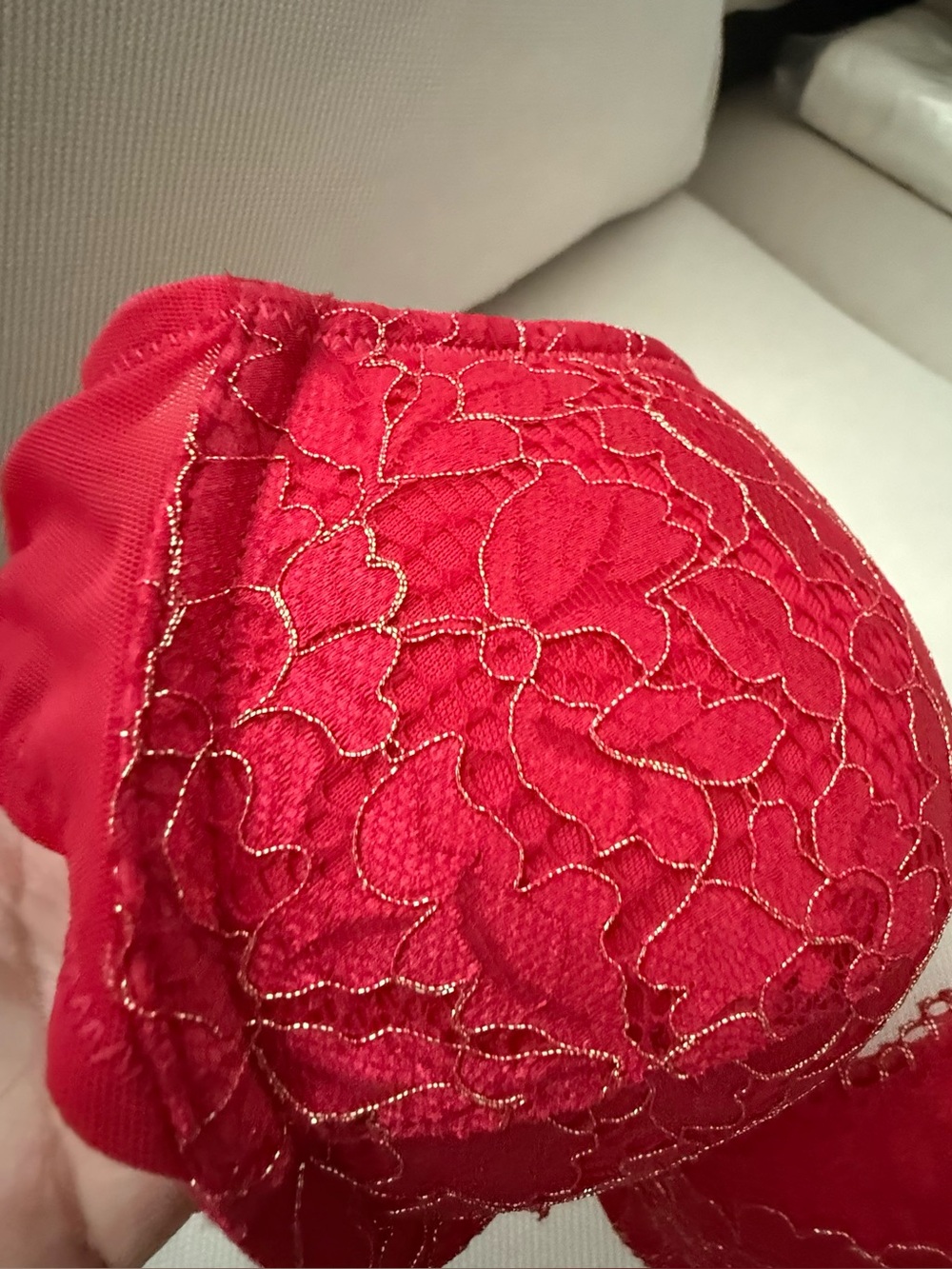 NWOT La Senza Obsession Red Gold Metallic Floral Lace Push-Up Bra 34C Intimates